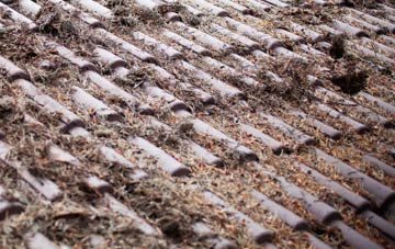 Watersfield roof cleaning companies