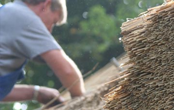 professional Watersfield thatchers